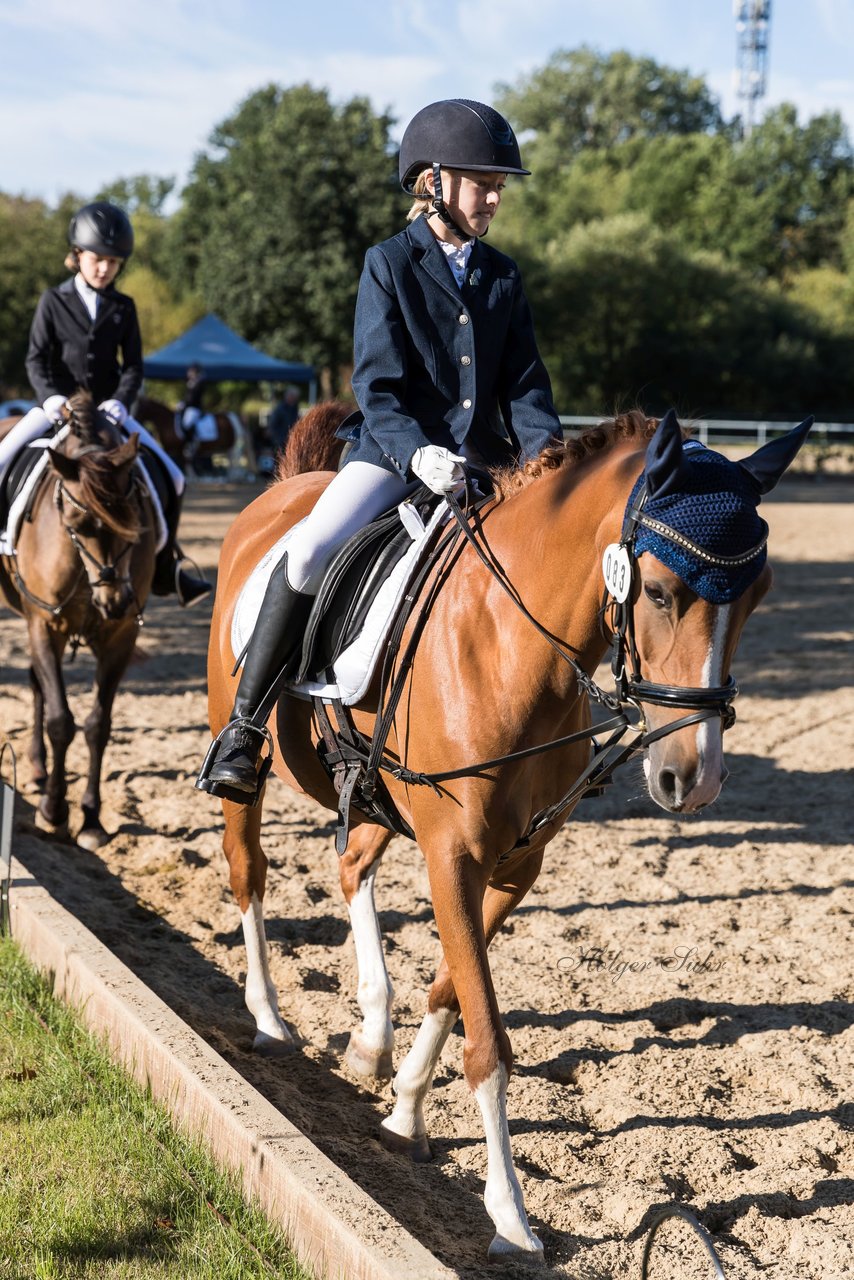 Bild 7 - Pony Akademie Turnier